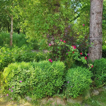 Seelboomler Sankt Peter-Ording