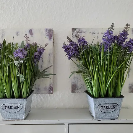 Apartament Seelboomler *