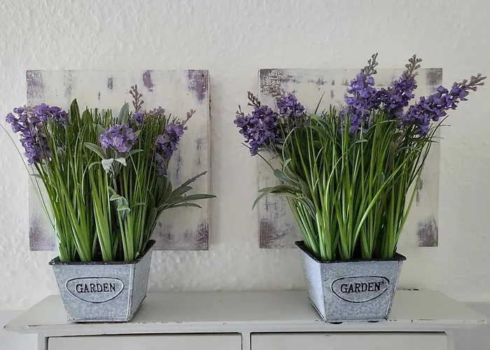 Appartement Seelboomler *